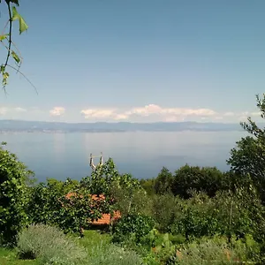 https://apartments-blue-green.primorje-gorskikotar.com